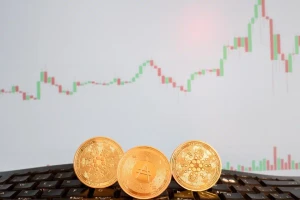 Bitcoin Cash Surges 35% in a Month While Cardano Prices Skyrocket by 180%