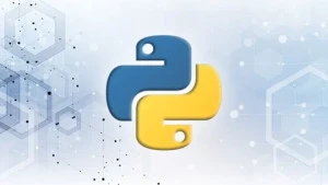 Der ultimative Python-Kurs für Data Science, ML & AI